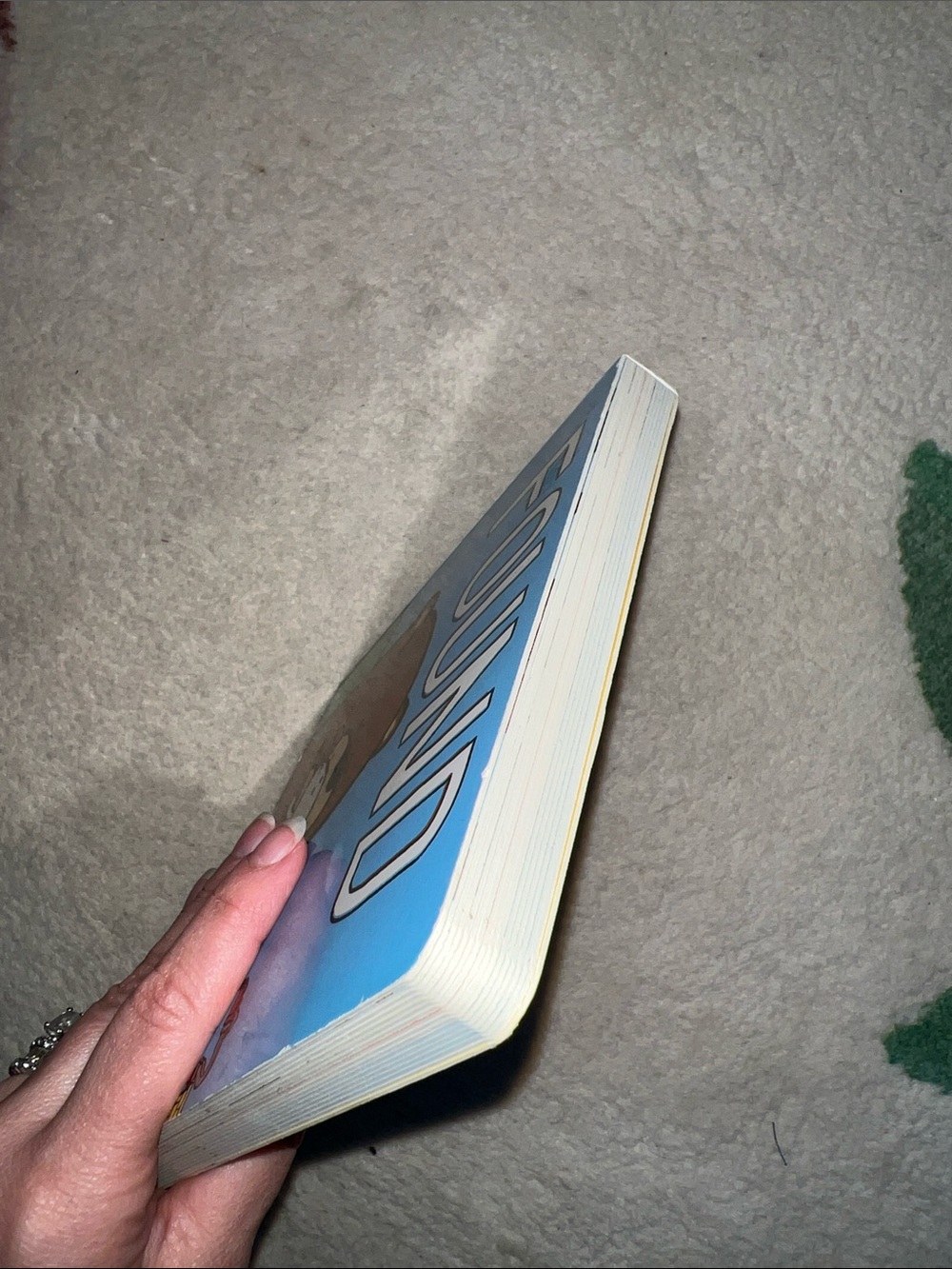 FOUND Board Book by Salina Yoon - Picture 4 of 4